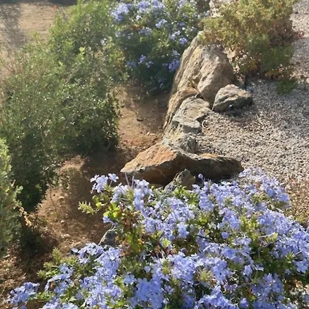 Villa Yvonne In Alinda Leros Gourna
