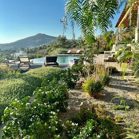 Yvonne In Alinda Leros *