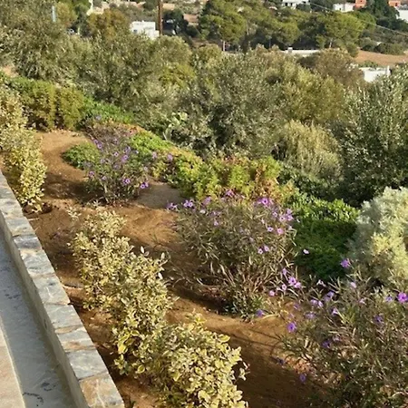 Yvonne In Alinda Leros Gourna