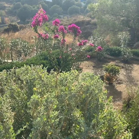 Villa Yvonne In Alinda Leros