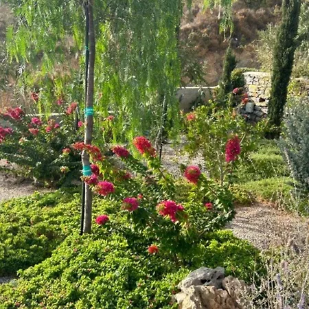 Yvonne In Alinda Leros Villa *